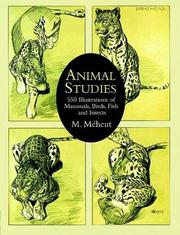 Cover of: Animal studies: 550 illustrations of mammals, birds, fish, and insects