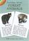 Cover of: Learning About Forest Animals (Learning about Books