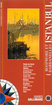 Cover of: Istanbul by Guide Gallimard