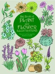 Cover of: Big book of plant and flower illustrations