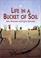 Cover of: Life in a Bucket of Soil
