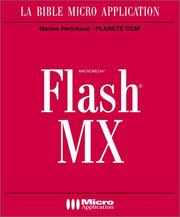 Flash MX by Marion Périchaud, Xavier Bielawski