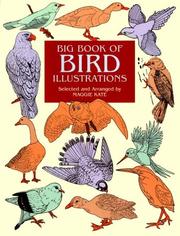 Cover of: Big Book of Bird Illustrations by Maggie Kate