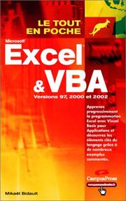 Cover of: Excel & VBA by Mikaël Bidault