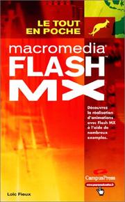 Flash MX by Loïc Fieux