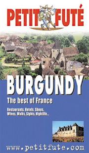 Cover of: Burgundy (Petit Fute)