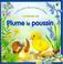 Cover of: Plume le poussin (livre animé)