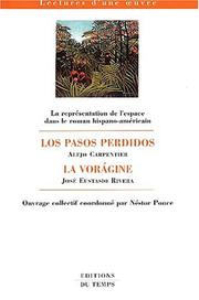 Cover of: La représentation de l'espace dans le roman hispano-americain