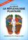 Cover of: Le Livre de la réflexologie plantaire 