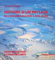 Cover of: Histoire d'un paysage de l'époque gauloise à nos jours : Entre Bourgogne et Franche-Comté