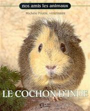 Le Cochon d'inde by Michèle Pilotte