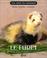 Cover of: Le Furet