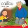 Cover of: Caillou Secret Place (Scooter)