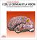 Cover of: L'oeil, le cerveau et la vision