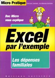 Cover of: Excel par l'exemple les dépenses familiales by Virginie Dorseuil