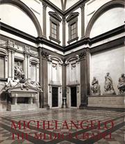 Cover of: Michelangelo by James H. Beck