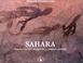 Cover of: Sahara, vision d un explorateur