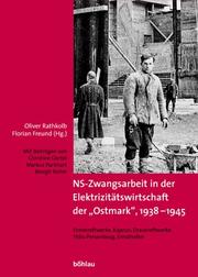 Cover of: NS-Zwangsarbeit in der Elektrizitätswirtschaft der 'Ostmark', 1938-1945