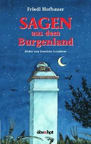 Cover of: Sagen aus dem Burgenland by Friedl Hofbauer