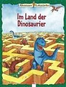 Cover of: Abenteuer- Labyrinthe. Im Land der Dinosaurier.