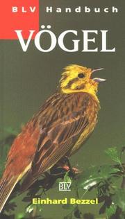 Cover of: BLV Handbuch Vögel. by Einhard Bezzel