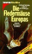 Cover of: Die Fledermäuse Europas. Kennen, bestimmen, schützen. by Wilfried Schober, Eckard Grimmberger