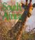 Cover of: South Africa