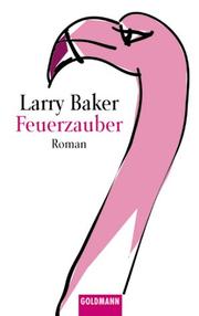 Cover of: Feuerzauber.