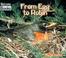 Cover of: From Egg to Robin (Welcome Books)