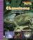 Cover of: Chameleons And Other Animals With Amazing Skin
