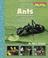 Cover of: Ants And Other Insects