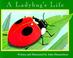 Cover of: A Ladybug’s Life