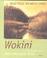 Cover of: Wokini oder Die Suche nach dem verborgenen Glück.
