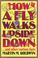 Cover of: How a fly walks upside down-- and other curious facts