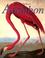 Cover of: Audubon (Treasures of Art)