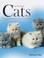 Cover of: The World of Cats