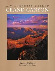 Cover of: A Wilderness Called Grand Canyon by Stewart Aitchison