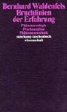 Cover of: Bruchlinien der Erfahrung. Phänomenologie - Psychoanalyse- Phänomenotechnik.