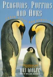 Cover of: Penguins, puffins, and auks: their lives and behavior : a photographic study of the North American and Antarctic species