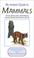 Cover of: An instant guide to mammals