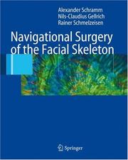 Navigational surgery of the facial skeleton by A. Schramm