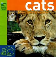 Cover of: Cats: From Tigers to Tabbys (Animal Planet)
