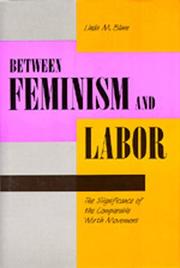 Cover of: Between feminism and labor by Linda M. Blum