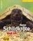 Cover of: Meine Schildkröte und ich.