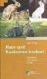 Cover of: Hase und Kaninchen konkret