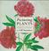 Cover of: Picturing plants