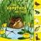 Cover of: Das Versteck am Teich.