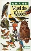 Cover of: Vögel des Waldes.