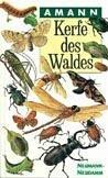Kerfe des Waldes by Gottfried Amann
