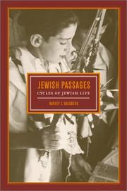 Cover of: Jewish Passages by Harvey E. Goldberg